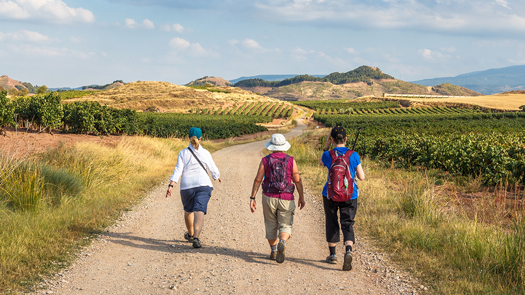 Pilgrims on the road